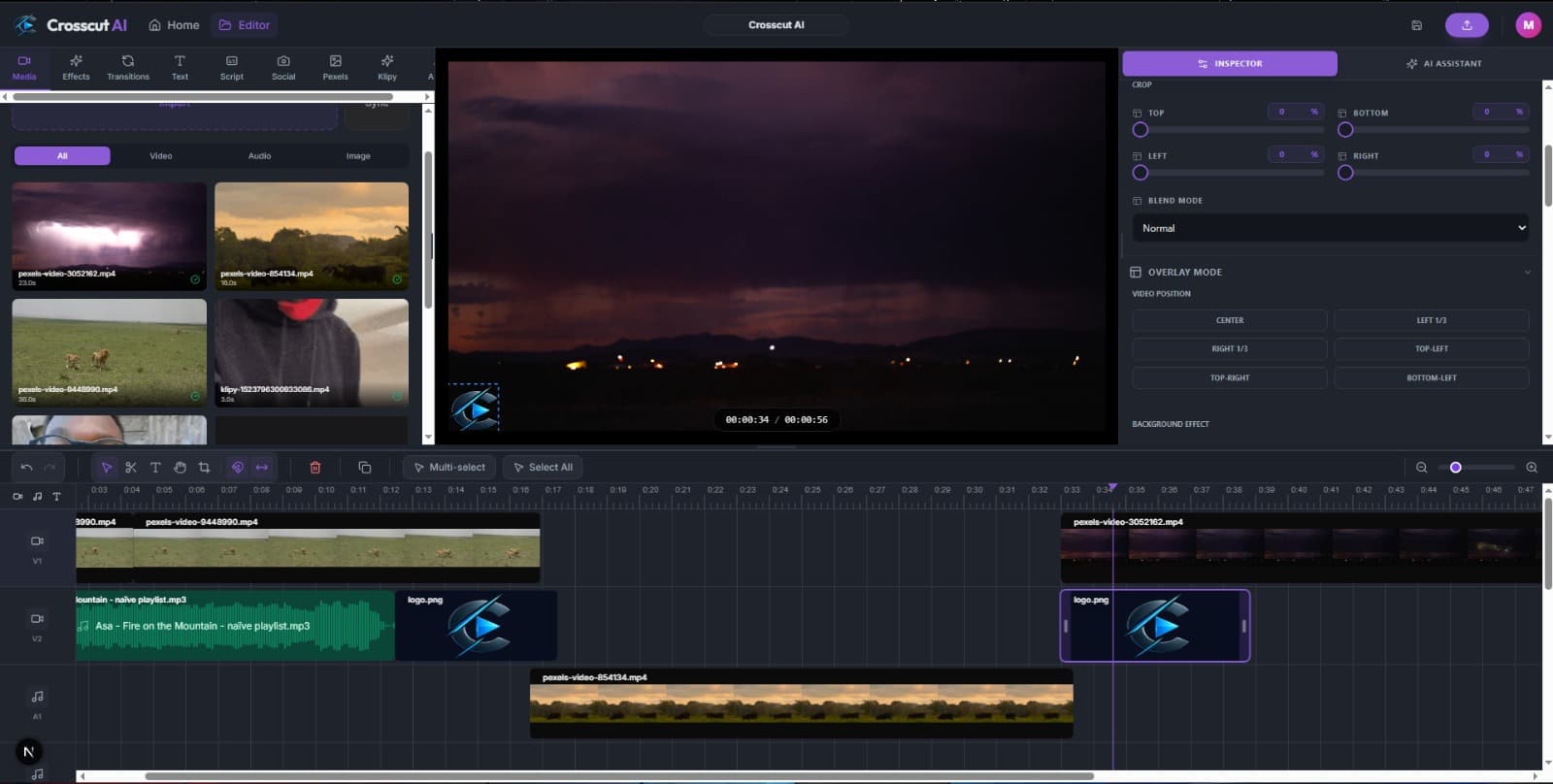 CrosscutAI Professional Editor